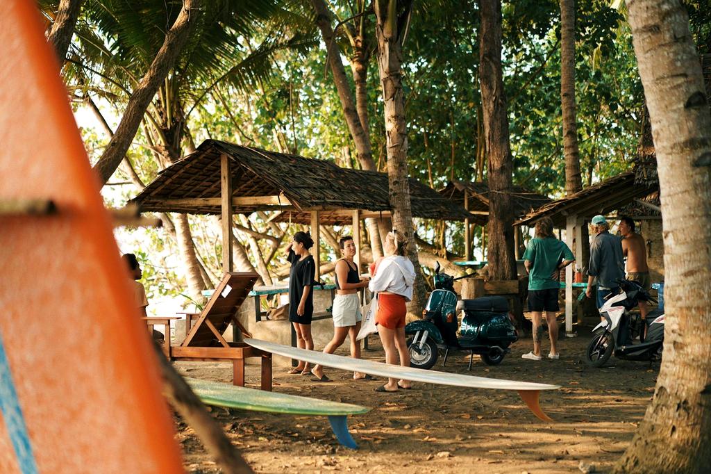 Rainforest conservation efforts