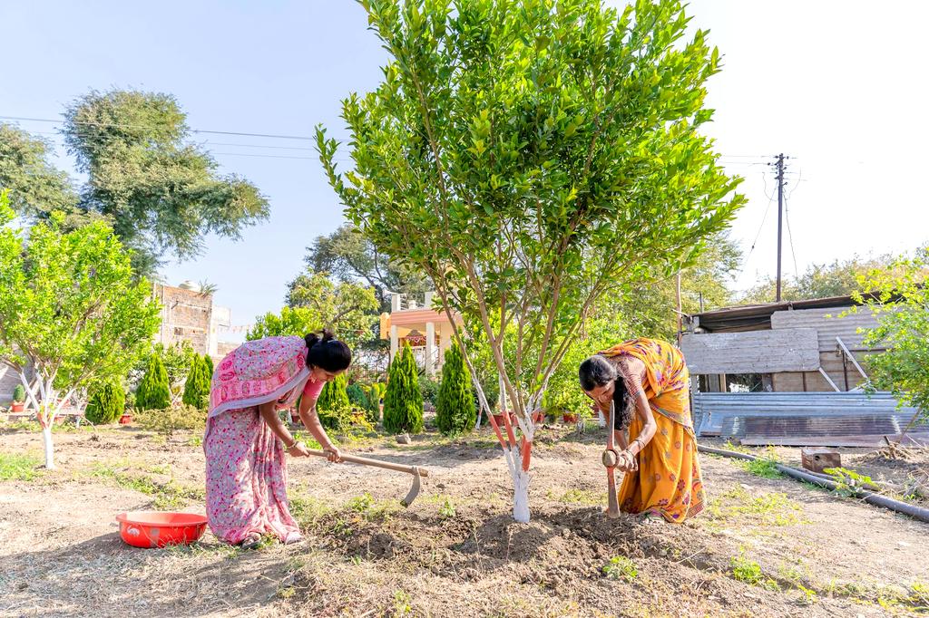 Sustainable farming practices